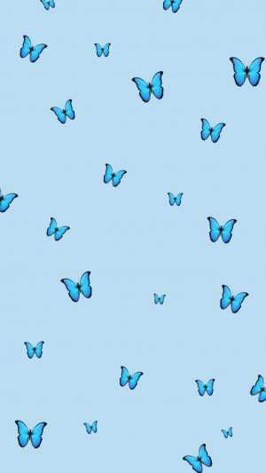 Butterfly Background