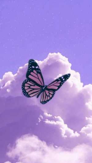 Butterfly Wallpaper