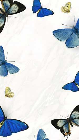 4K Butterfly Wallpaper 