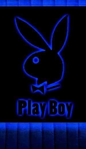 HD Playboy Bunny Wallpaper 