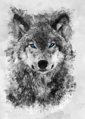HD Wolf Wallpaper 