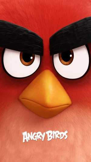 Angry Birds Wallpaper 