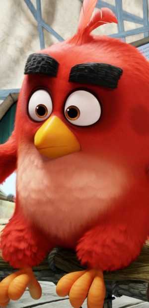 HD Angry Birds Wallpaper 