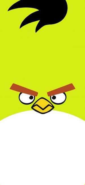 Angry Birds Wallpaper 