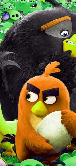 Angry Birds Wallpaper