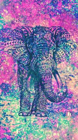 Elephant Background 