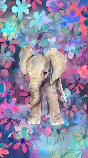 4K Elephant Wallpaper