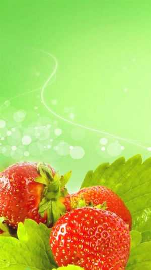 Fruit Background 