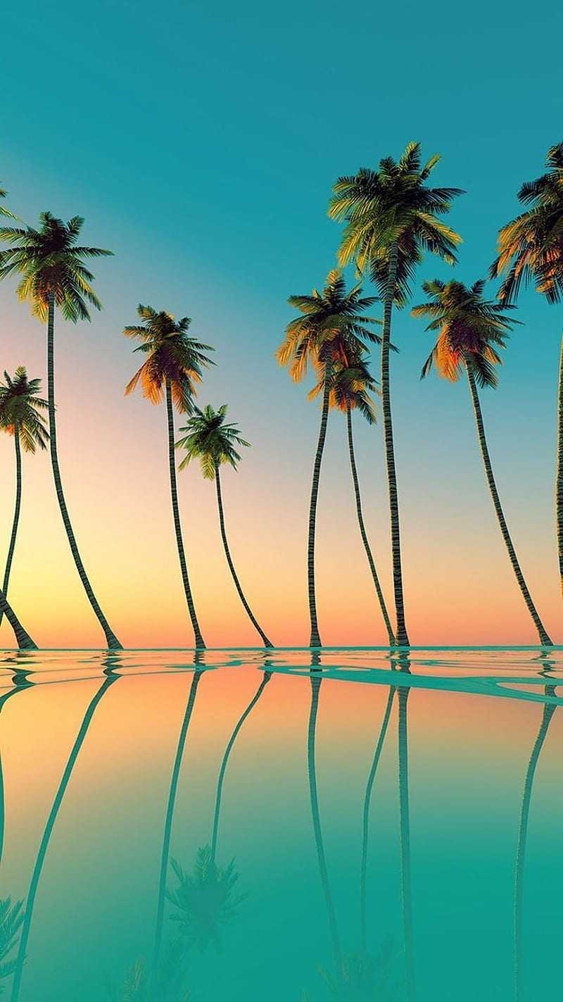 Hawaii Wallpaper Whatspaper