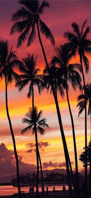 Hawaii Background