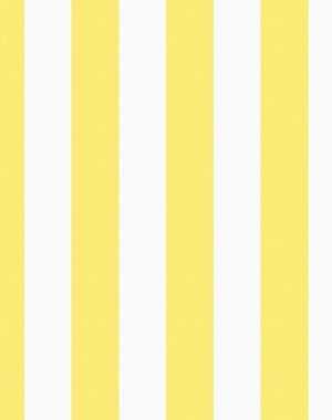 Lemon Wallpaper 