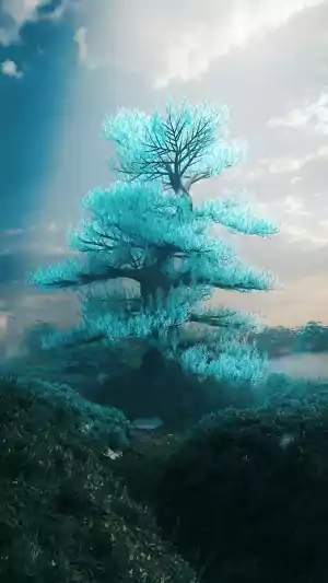 Tree Wallpaper