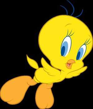 Tweety Wallpaper 