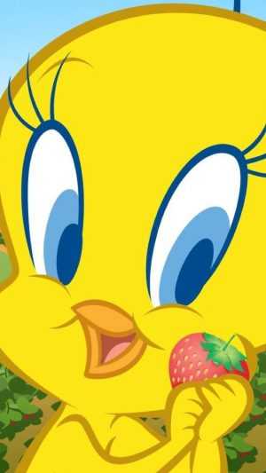 Tweety Wallpaper 