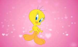 Desktop Tweety Wallpaper 