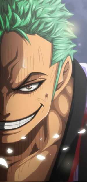 HD Zoro Wallpaper 