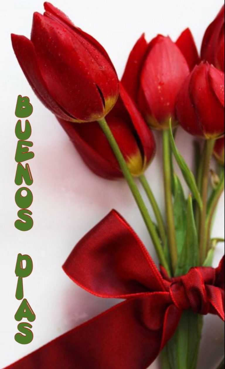 Buenos Días Wallpaper | WhatsPaper