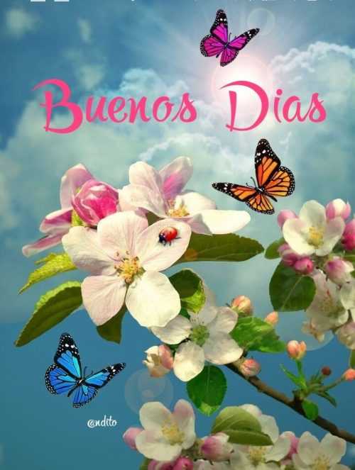 Buenos Días Wallpaper | WhatsPaper
