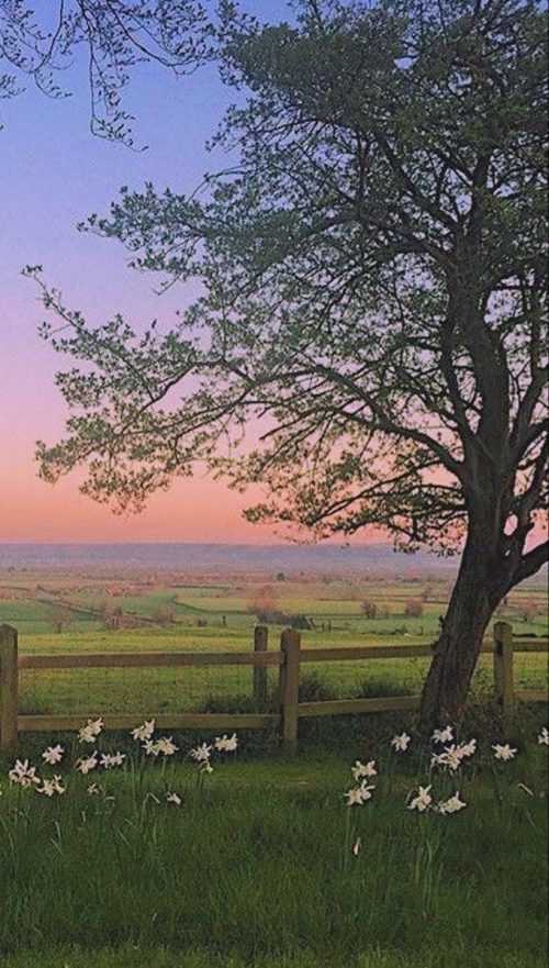 Cottagecore Wallpaper WhatsPaper