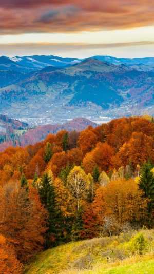 Fall Iphone wallpaper