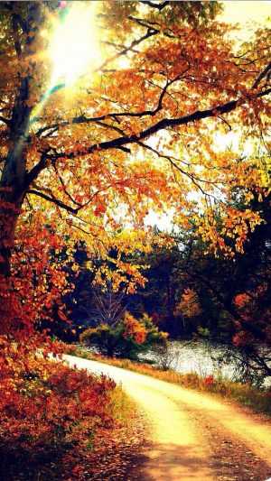 Fall Iphone wallpaper