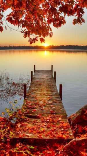 Fall Iphone Background
