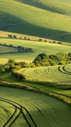 Green Scenery Wallpaper