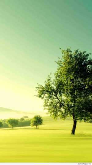 Green Scenery Wallpaper