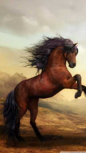 Horse Background 