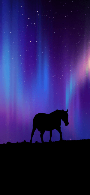 4K Horse Wallpaper 