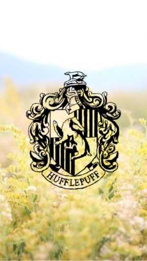 Hufflepuff Background 
