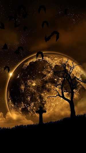 Night Wallpaper