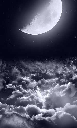 Night Wallpaper