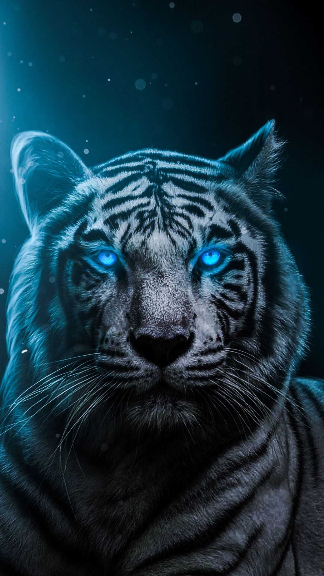 Tiger wallpaper 4k, tiger images hd