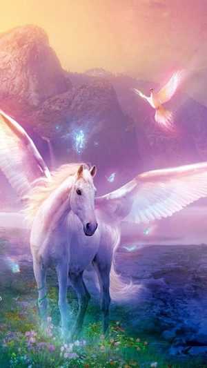 HD Unicorn Wallpaper 