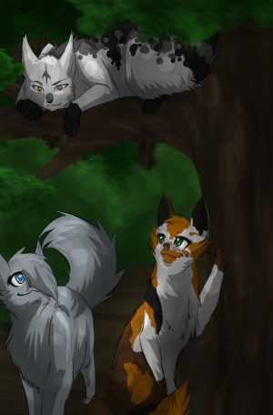 Warrior Cats Wallpaper