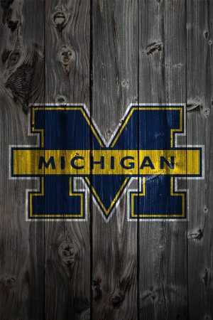 Michigan Background 