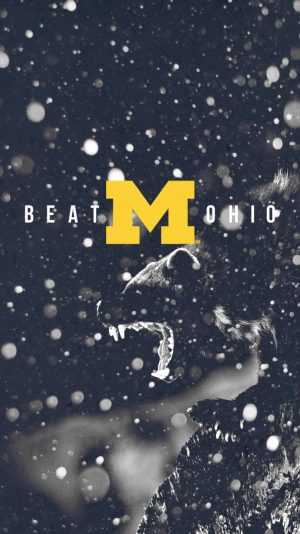 Michigan Wallpaper 