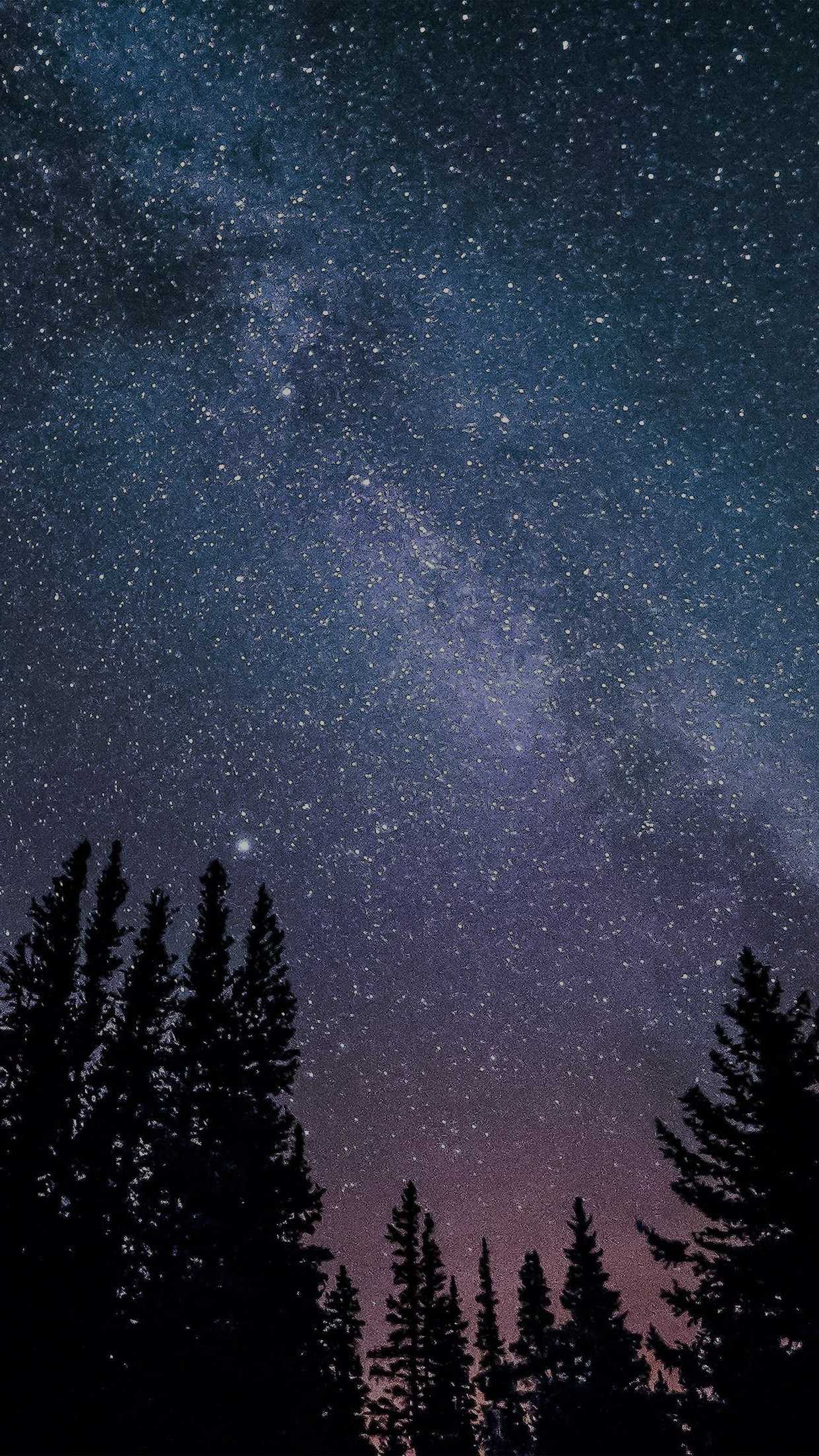 Night Sky Wallpaper | WhatsPaper