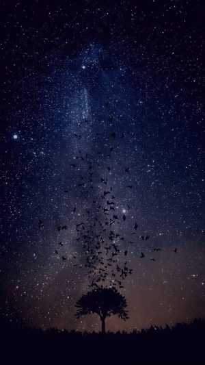 Night Sky Wallpaper