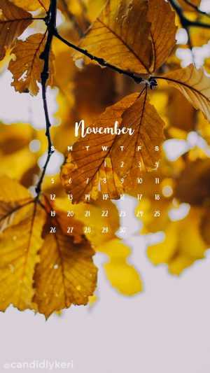 November Wallpaper 