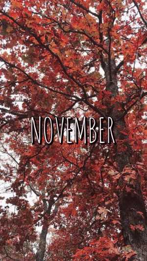 November Wallpaper 