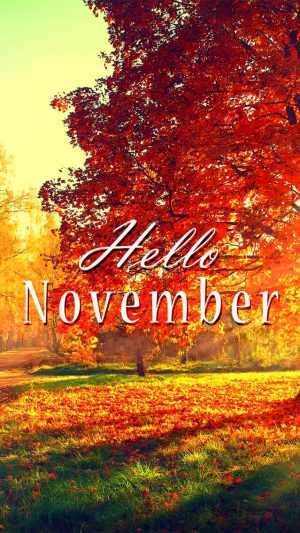 November Background