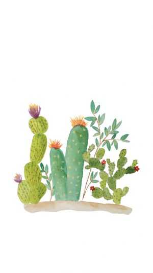 Cactus Wallpaper 