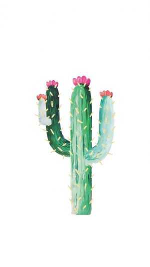 Cactus Background