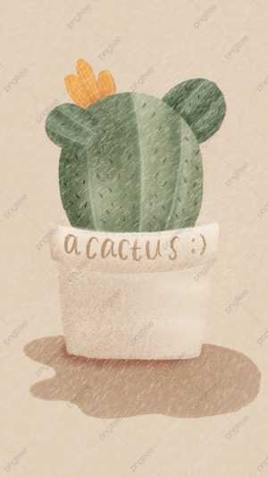 HD Cactus Wallpaper 