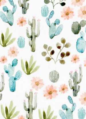 Cactus Wallpaper