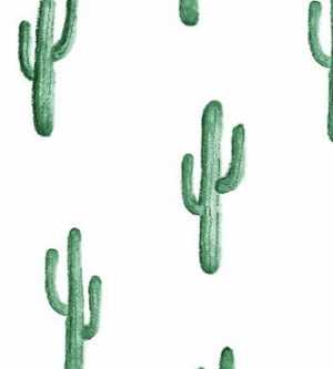 Cactus Wallpaper 