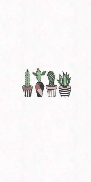 Cactus Wallpaper 