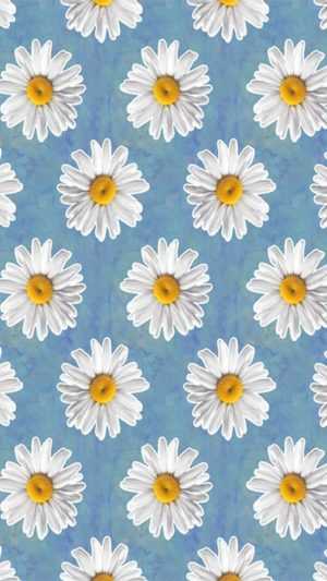 Daisy Background 